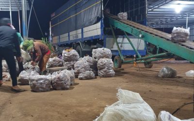 z3337408353741_6c26af8a1a188ca31c690657364c8dba